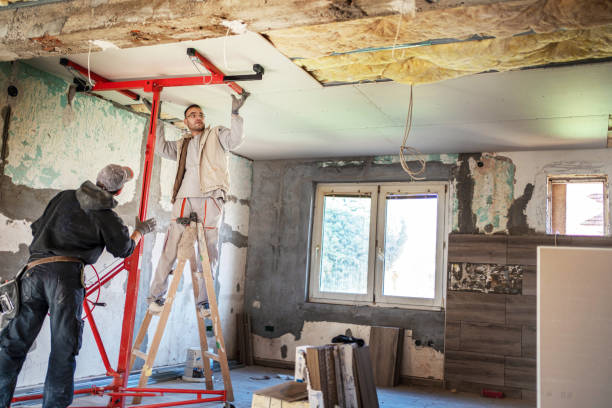 Best Specialized Insulation Services in Millsboro, DE