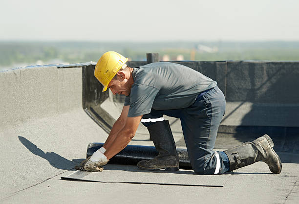 Professional Insulation Contractor in Millsboro, DE