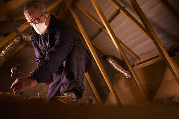 Best Spray Foam Insulation in Millsboro, DE